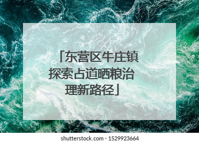 东营区牛庄镇探索占道晒粮治理新路径