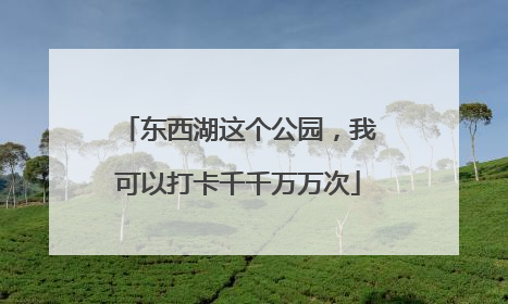 东西湖这个公园，我可以打卡千千万万次