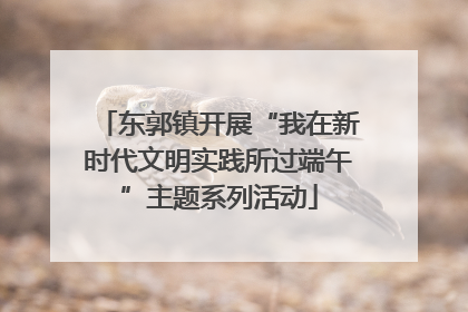 东郭镇开展“我在新时代文明实践所过端午”主题系列活动
