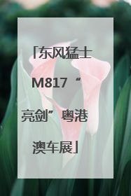 东风猛士M817“亮剑”粤港澳车展