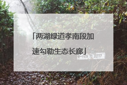 两湖绿道孝南段加速勾勒生态长廊