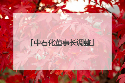 中石化董事长调整