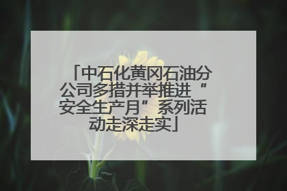 中石化黄冈石油分公司多措并举推进“安全生产月”系列活动走深走实