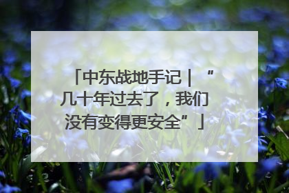 中东战地手记｜“几十年过去了，我们没有变得更安全”