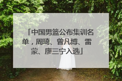 中国男篮公布集训名单，周琦、曾凡博、雷蒙、廖三宁入选