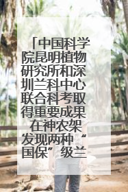 中国科学院昆明植物研究所和深圳兰科中心联合科考取得重要成果 在神农架发现两种“国保”级兰花
