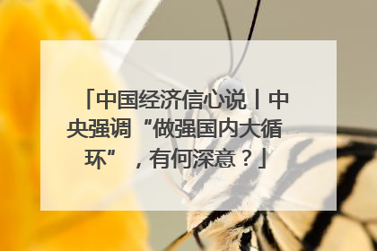 中国经济信心说丨中央强调“做强国内大循环”，有何深意？