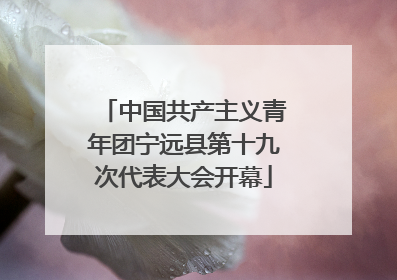 中国共产主义青年团宁远县第十九次代表大会开幕