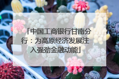 中国工商银行甘南分行：为高原经济发展注入强劲金融动能