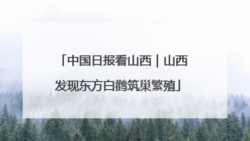 中国日报看山西｜山西发现东方白鹳筑巢繁殖