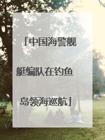 中国海警舰艇编队在钓鱼岛领海巡航