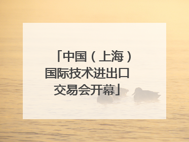 中国（上海）国际技术进出口交易会开幕