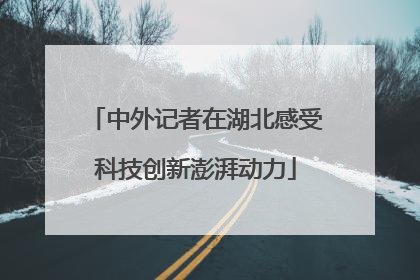 中外记者在湖北感受科技创新澎湃动力