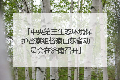 中央第三生态环境保护督察组督察山东省动员会在济南召开