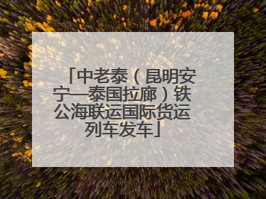 中老泰（昆明安宁—泰国拉廊）铁公海联运国际货运列车发车