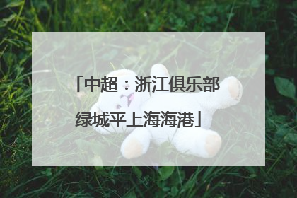 中超：浙江俱乐部绿城平上海海港