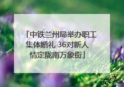 中铁兰州局举办职工集体婚礼 36对新人情定陇南万象街