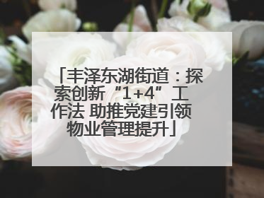 丰泽东湖街道：探索创新“1+4”工作法 助推党建引领物业管理提升