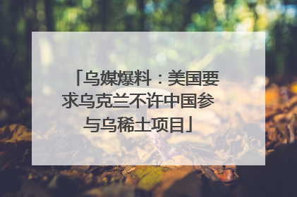 乌媒爆料：美国要求乌克兰不许中国参与乌稀土项目