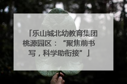 乐山城北幼教育集团桃源园区：“聚焦前书写，科学助衔接”