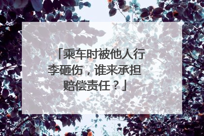 乘车时被他人行李砸伤，谁来承担赔偿责任？