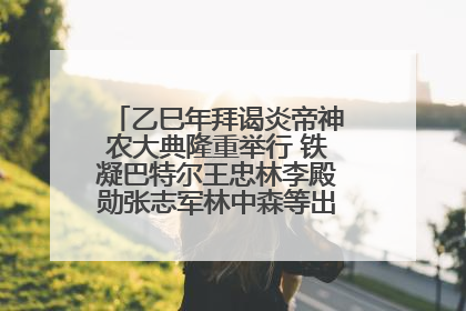 乙巳年拜谒炎帝神农大典隆重举行 铁凝巴特尔王忠林李殿勋张志军林中森等出席 孙伟主持