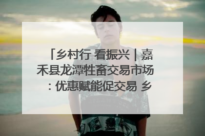 乡村行 看振兴｜嘉禾县龙潭牲畜交易市场：优惠赋能促交易 乡村振兴添动能