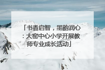 书香启智，墨韵润心：大窑中心小学开展教师专业成长活动