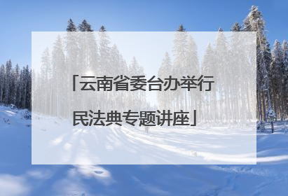 云南省委台办举行民法典专题讲座