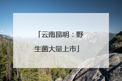云南昆明：野生菌大量上市