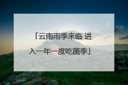 云南雨季来临 进入一年一度吃菌季