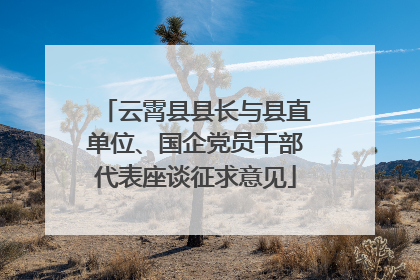 云霄县县长与县直单位、国企党员干部代表座谈征求意见