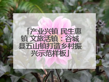 产业兴镇 民生惠镇 文旅活镇：谷城县五山镇打造乡村振兴示范样板