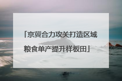 京冀合力攻关打造区域粮食单产提升样板田