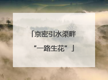 京密引水渠畔“一路生花”