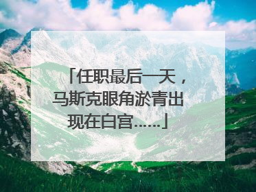 任职最后一天，马斯克眼角淤青出现在白宫……