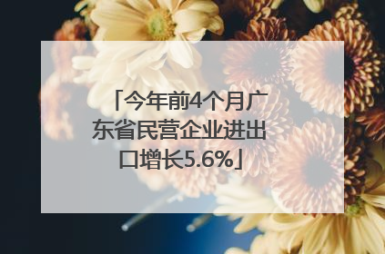 今年前4个月广东省民营企业进出口增长5.6%