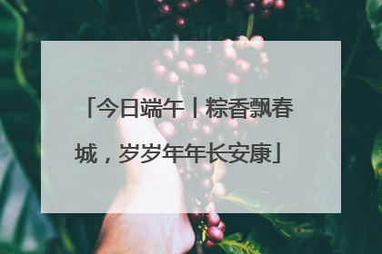 今日端午丨粽香飘春城，岁岁年年长安康