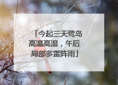 今起三天鹭岛高温高湿，午后局部多雷阵雨