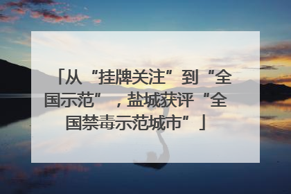 从“挂牌关注”到“全国示范”，盐城获评“全国禁毒示范城市”