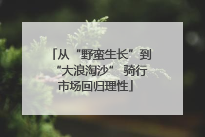 从“野蛮生长”到“大浪淘沙” 骑行市场回归理性