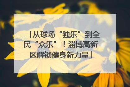 从球场“独乐”到全民“众乐”！淄博高新区解锁健身新力量