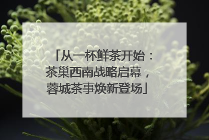 从一杯鲜茶开始：茶巢西南战略启幕，蓉城茶事焕新登场