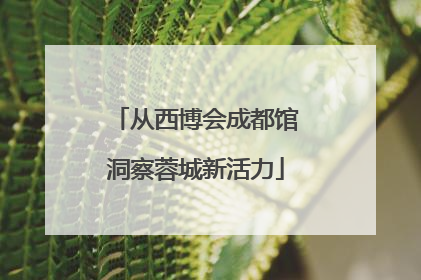 从西博会成都馆洞察蓉城新活力