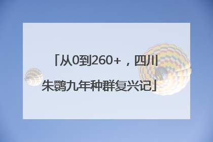 从0到260+，四川朱鹮九年种群复兴记