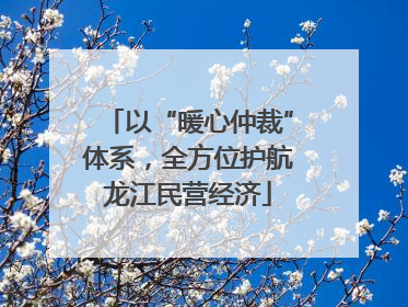 以“暖心仲裁”体系，全方位护航龙江民营经济