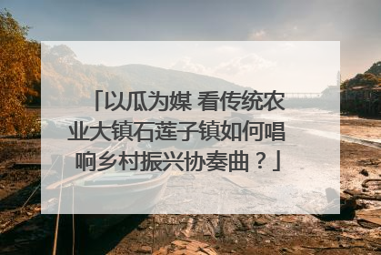 以瓜为媒 看传统农业大镇石莲子镇如何唱响乡村振兴协奏曲？