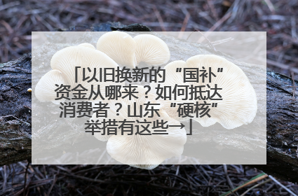 以旧换新的“国补”资金从哪来？如何抵达消费者？山东“硬核”举措有这些→