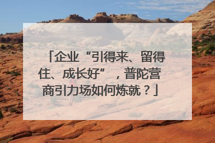 企业“引得来、留得住、成长好”，普陀营商引力场如何炼就？