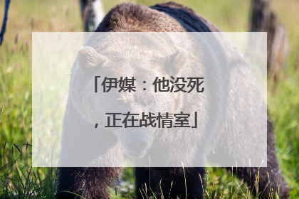 伊媒：他没死，正在战情室
